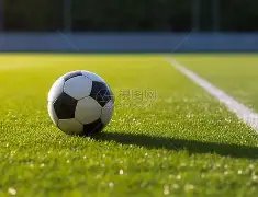 全球赛事受,疫情影响回,截止至,28圈网页版,28圈网页版官网,28圈H5网页版,28圈app官网进入