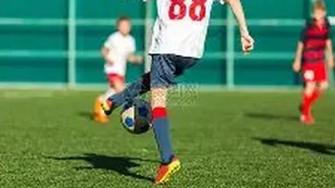 28圈app官网进入 产品 091628 do5