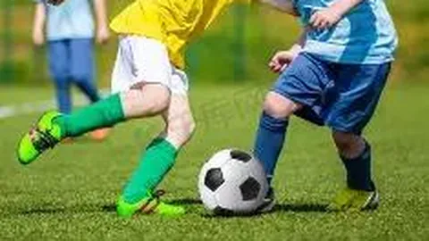 28圈app官网进入 产品 102005 yyj