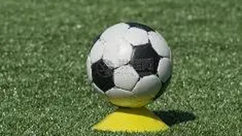 28圈app官网进入 产品 102155 5zi