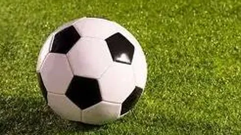 28圈app官网进入 产品 102209 bz4